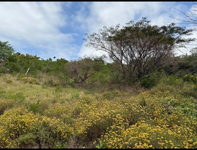 LAND FOR SALE IN ZINI RIVER ESTATE